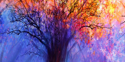 From dawn-to-dusk transitions to vibrant multi-hued canopies and serene nocturnal blooms.