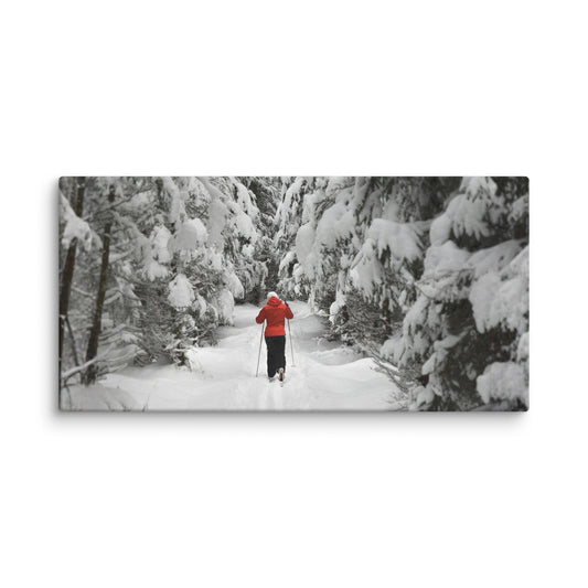 A lone cross-country skier in a bright red jacket glides along a snow-covered forest path.