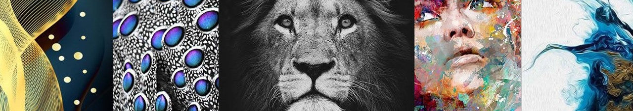 Brilliant wall canvas front page banner