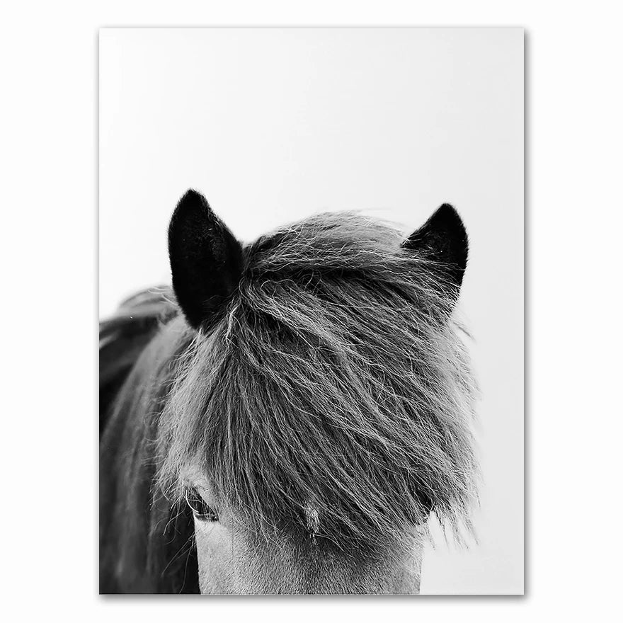 A minimalist black-and-white canvas portrait of a horse's forward profile.