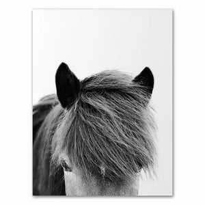 A minimalist black-and-white canvas portrait of a horse's forward profile.