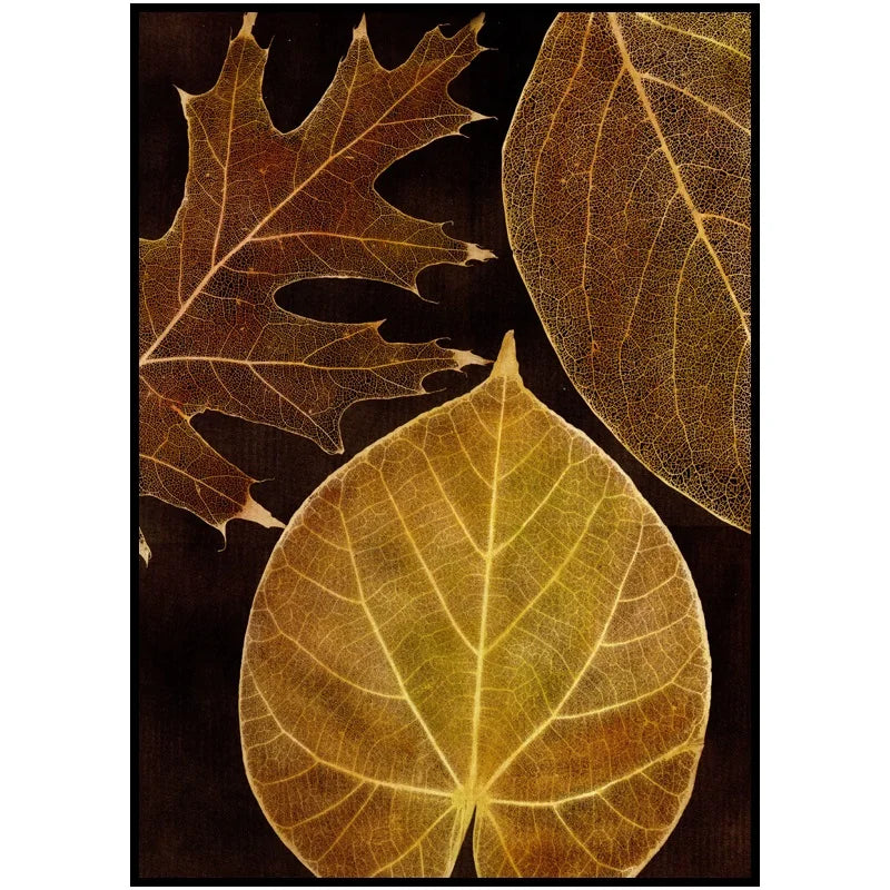 A captivating pair of botanical artworks depicting translucent leaf skeletons in golden-brown hues against a dark backdrop.