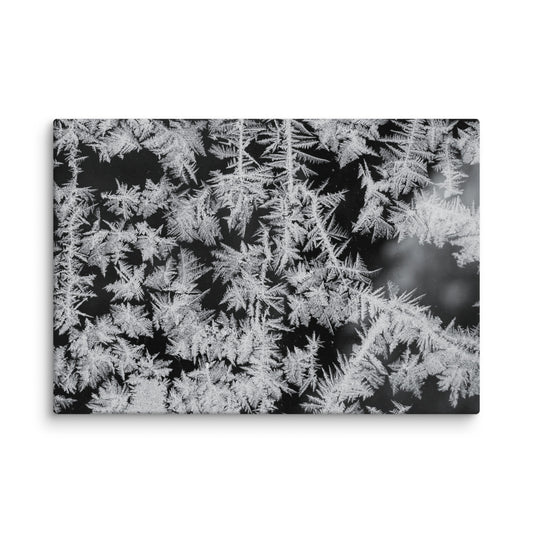 Black-and-white macro view of intricate frost formations spreading across a surface, with delicate, needle-like crystals.
