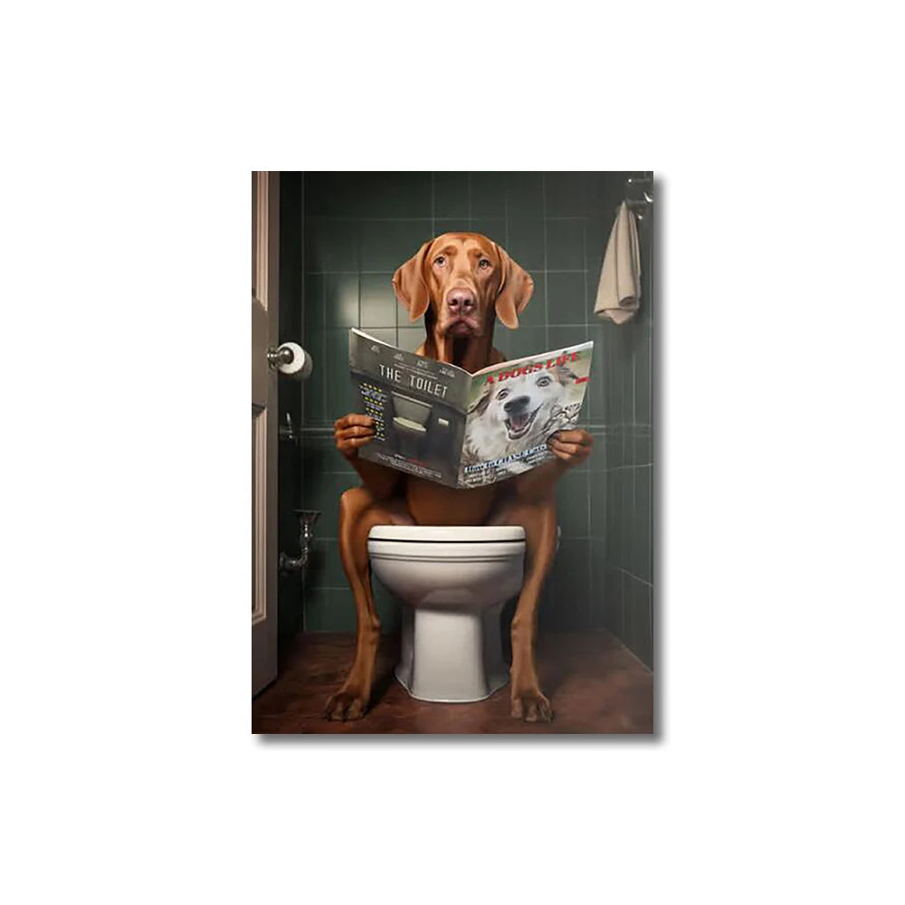 A fun collection of pictures showing cute animals.