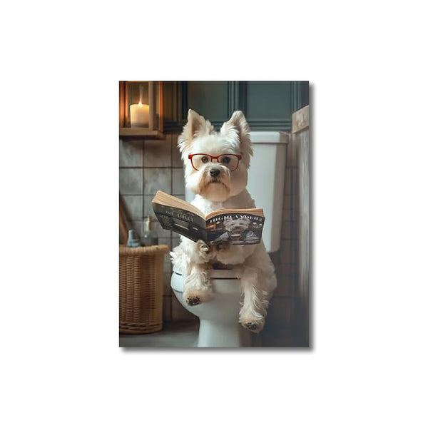A fun collection of pictures showing cute animals.