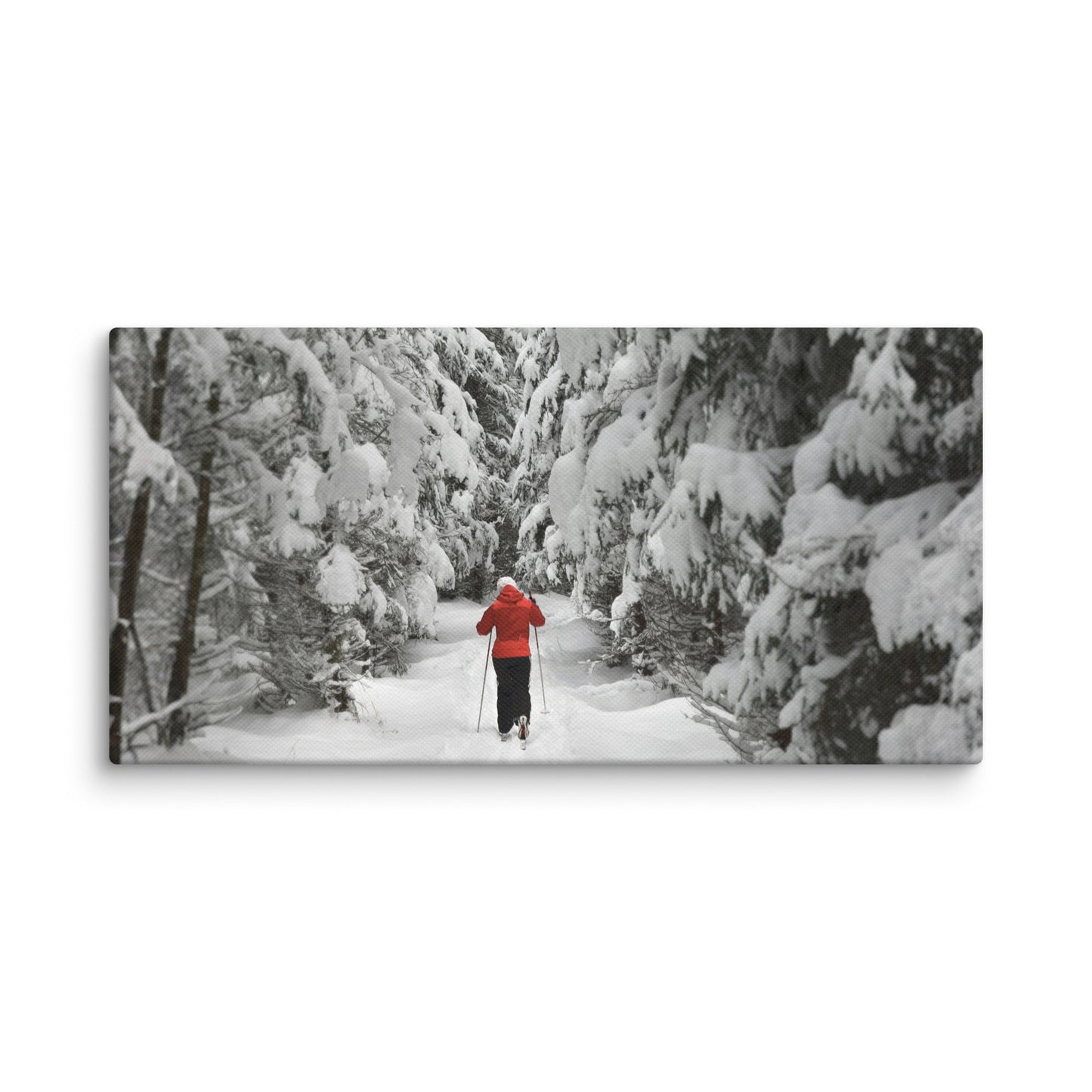 A lone cross-country skier in a bright red jacket glides along a snow-covered forest path.