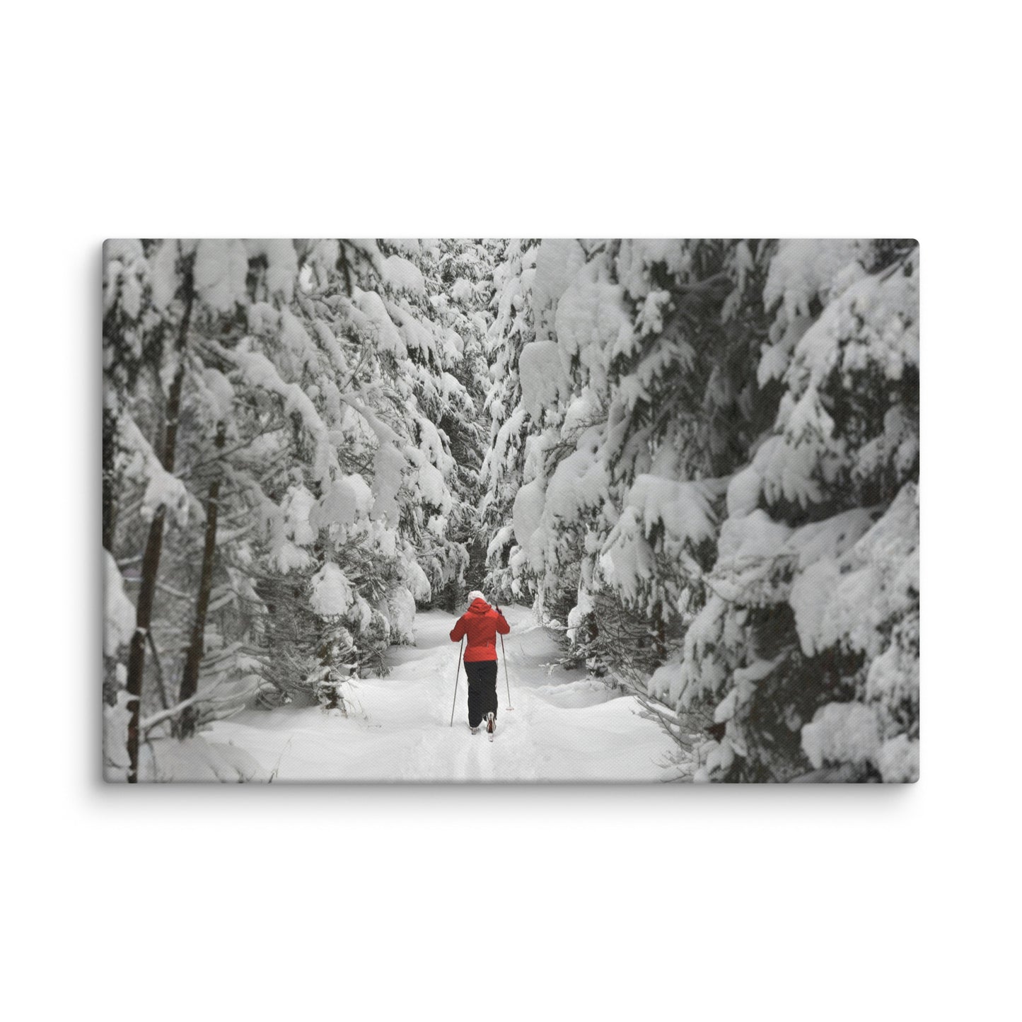 A lone cross-country skier in a bright red jacket glides along a snow-covered forest path.