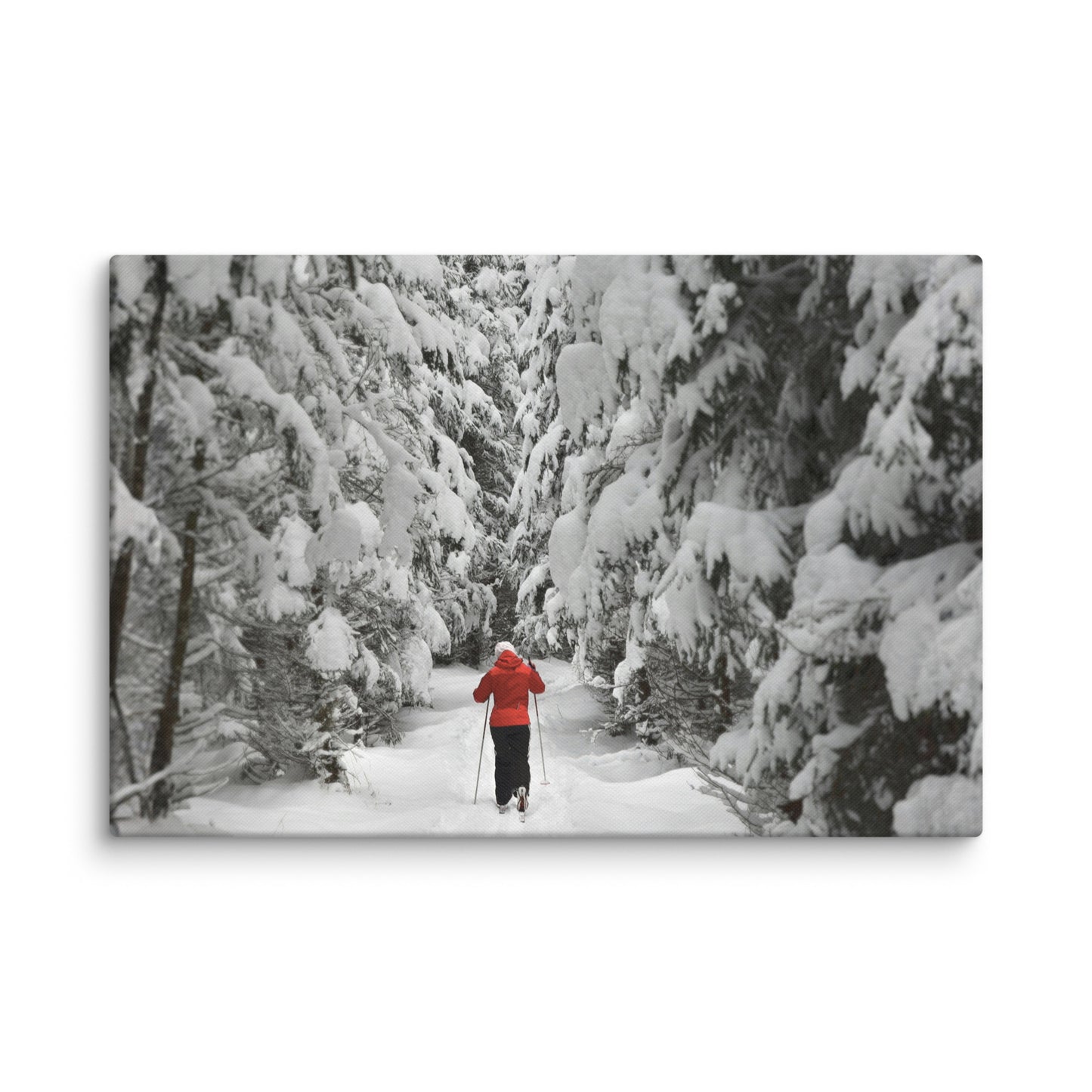 A lone cross-country skier in a bright red jacket glides along a snow-covered forest path.